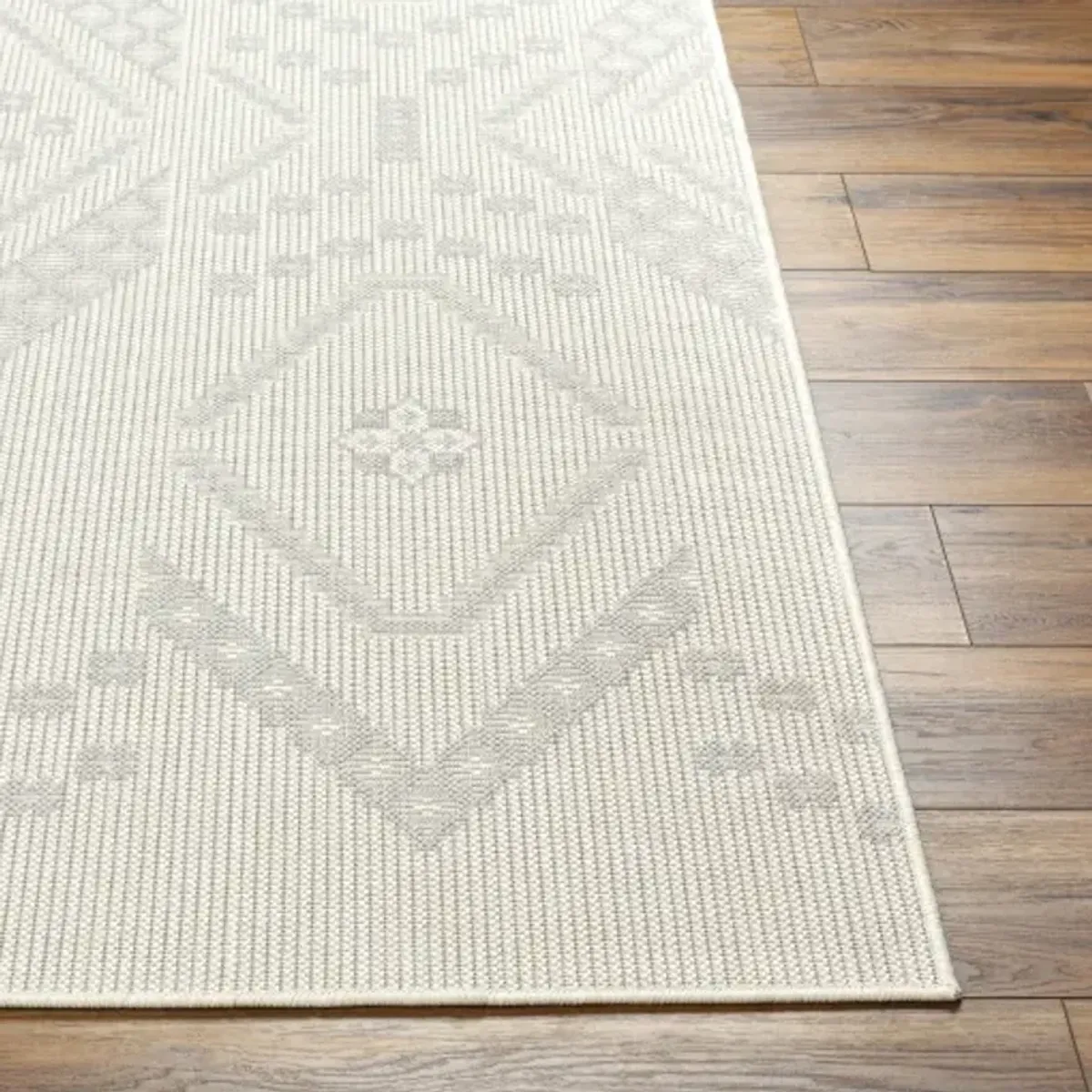 Ravello RVL-2325 5'3" x 7' Machine Woven Rug