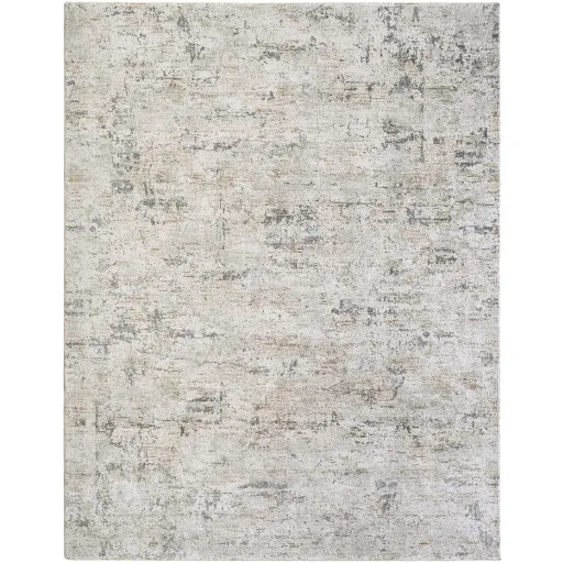 Brunswick BWK-2350 5' x 7'5" Machine Woven Rug