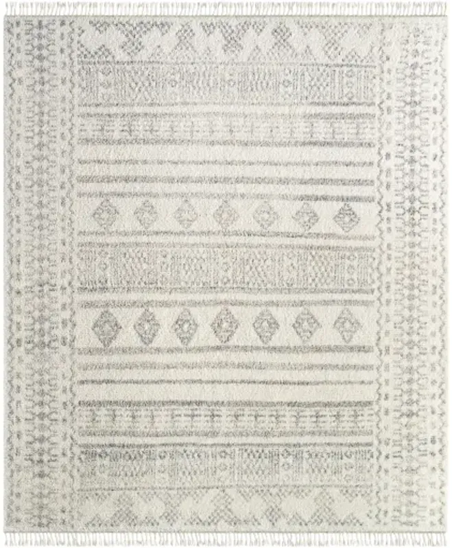 Tulsa TLS-2303 10' x 14' Handmade Rug