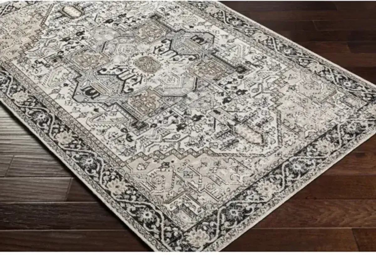 Lavadora 5'3" x 7' Rug