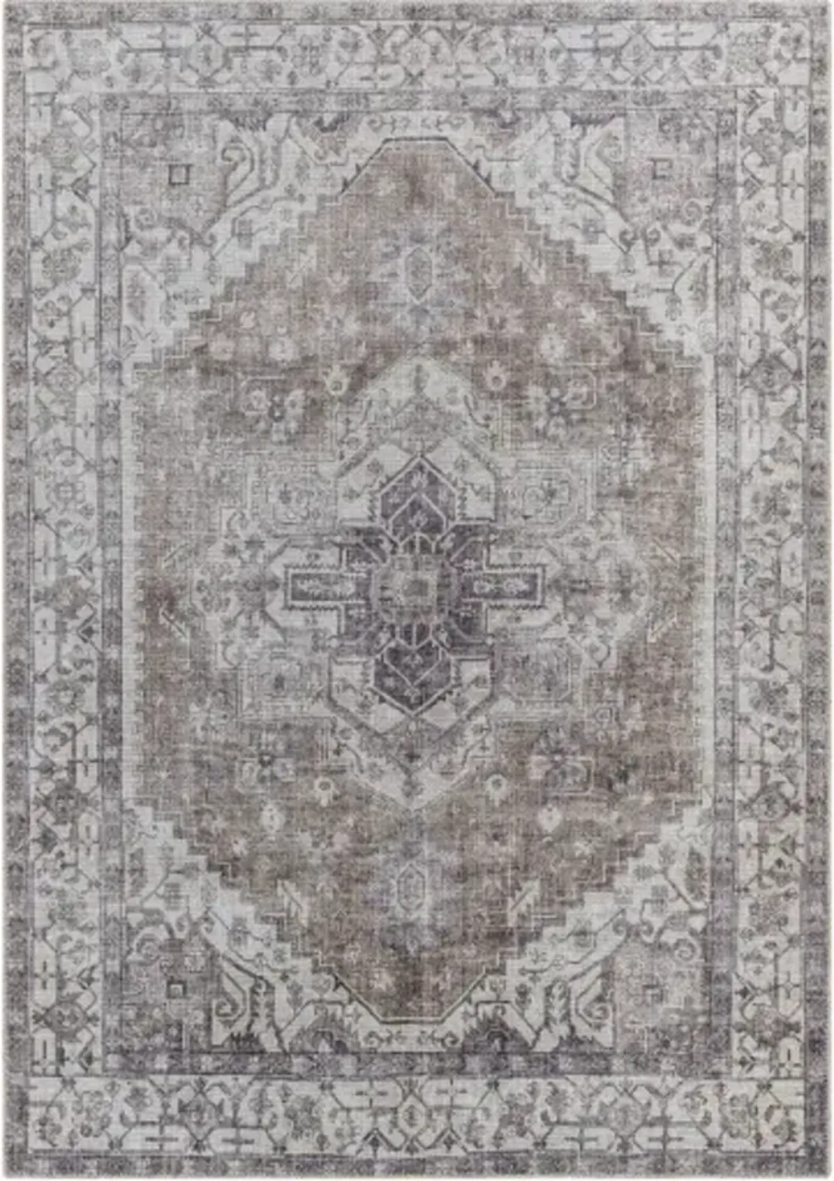 Amelie AML-2371 8'10" x 12' Machine Woven Rug