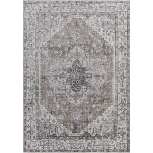 Amelie AML-2371 8'10" x 12' Machine Woven Rug