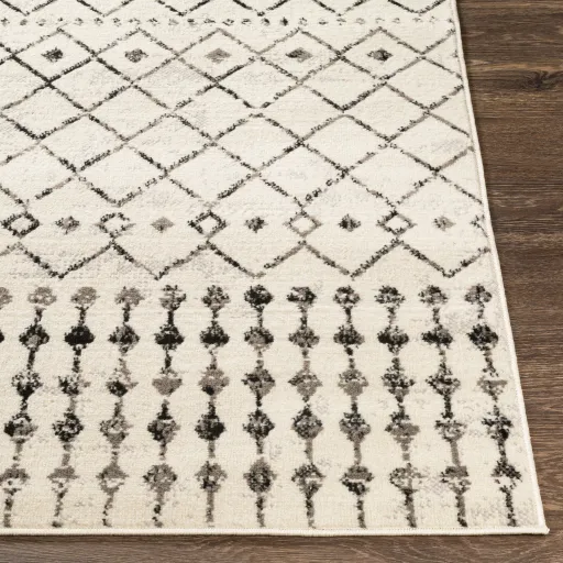 Pisa 4'3" x 5'7" Rug