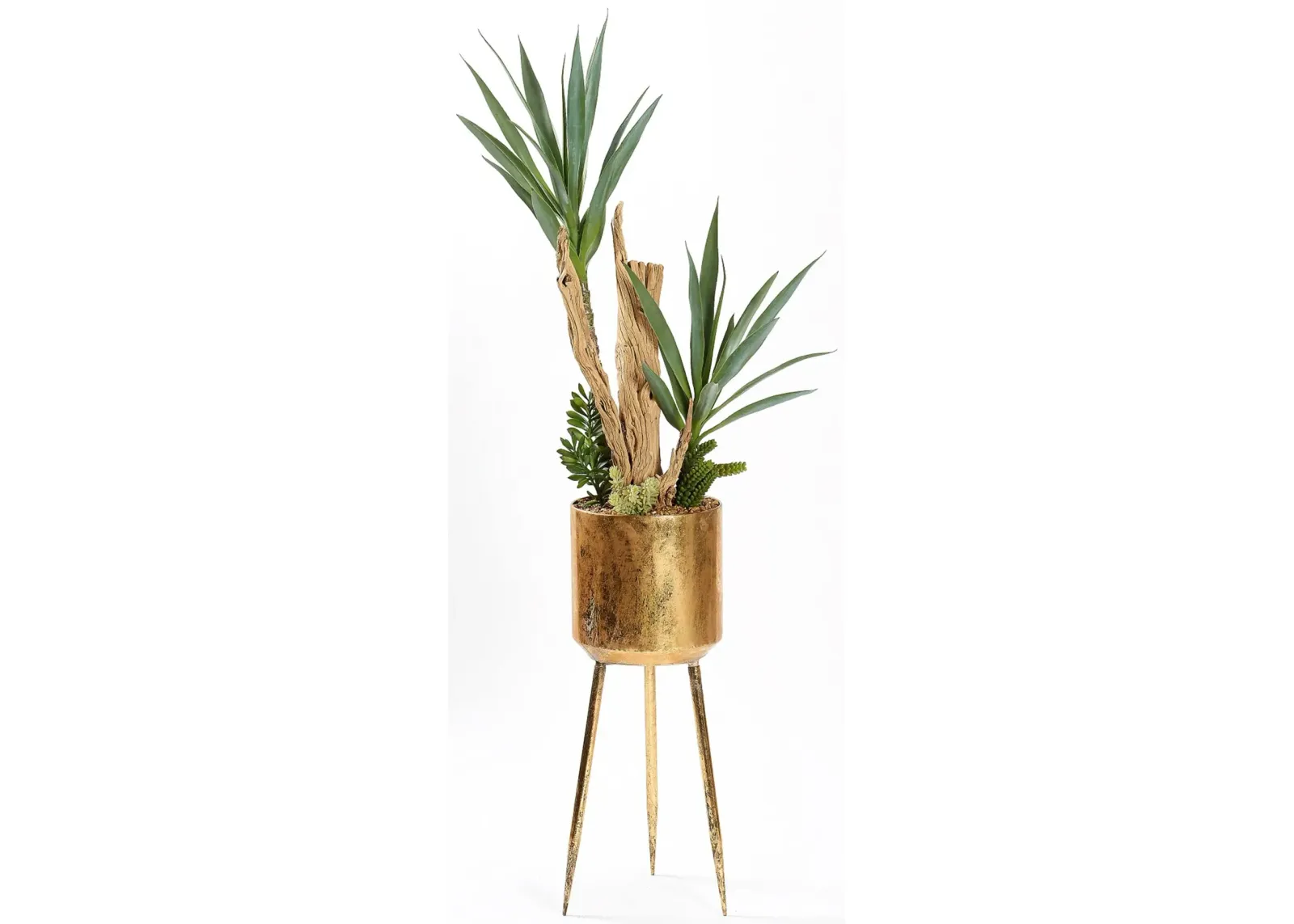 Yucca, Ghostwood, & Mixed Succulents in Gold Platted Container W/Legs