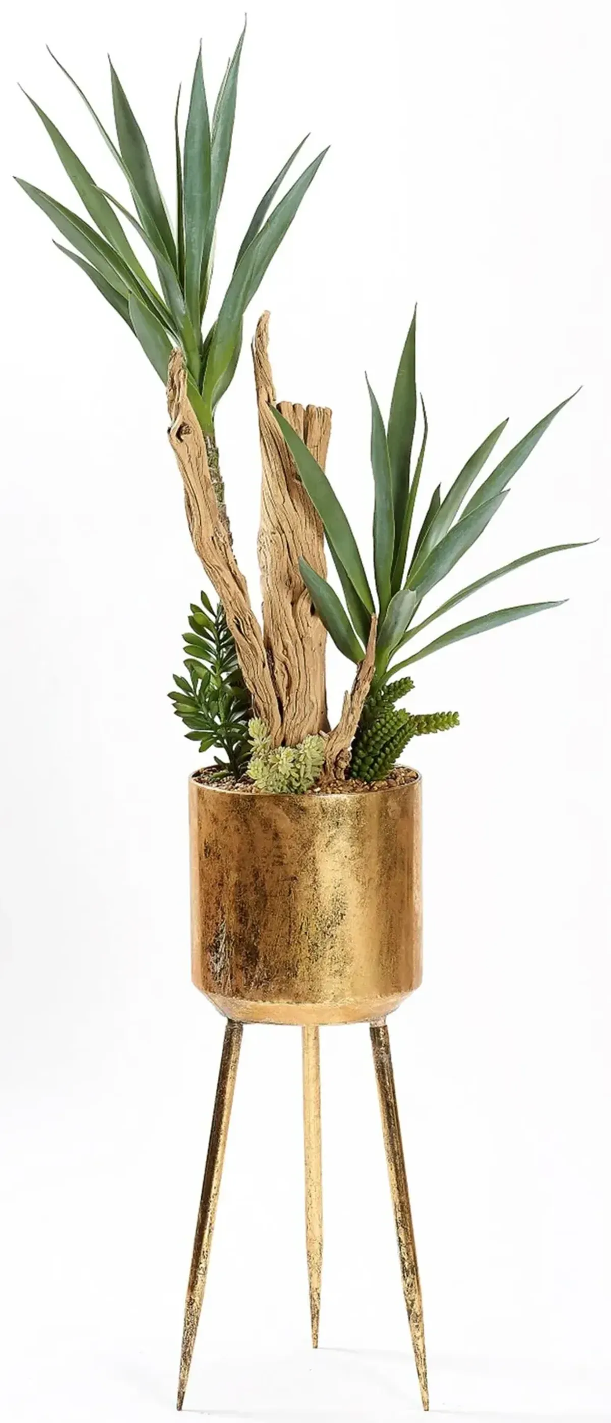 Yucca, Ghostwood, & Mixed Succulents in Gold Platted Container W/Legs