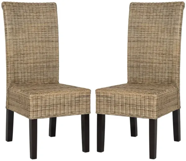 ARJUN 18''H WICKER DINING CHAIR - Set of 2
