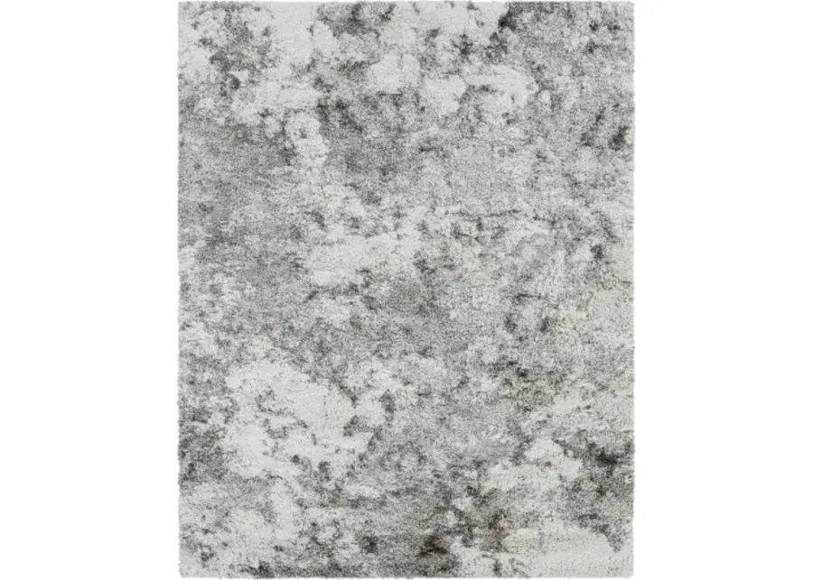 Alta shag 6'7" x 9' Rug