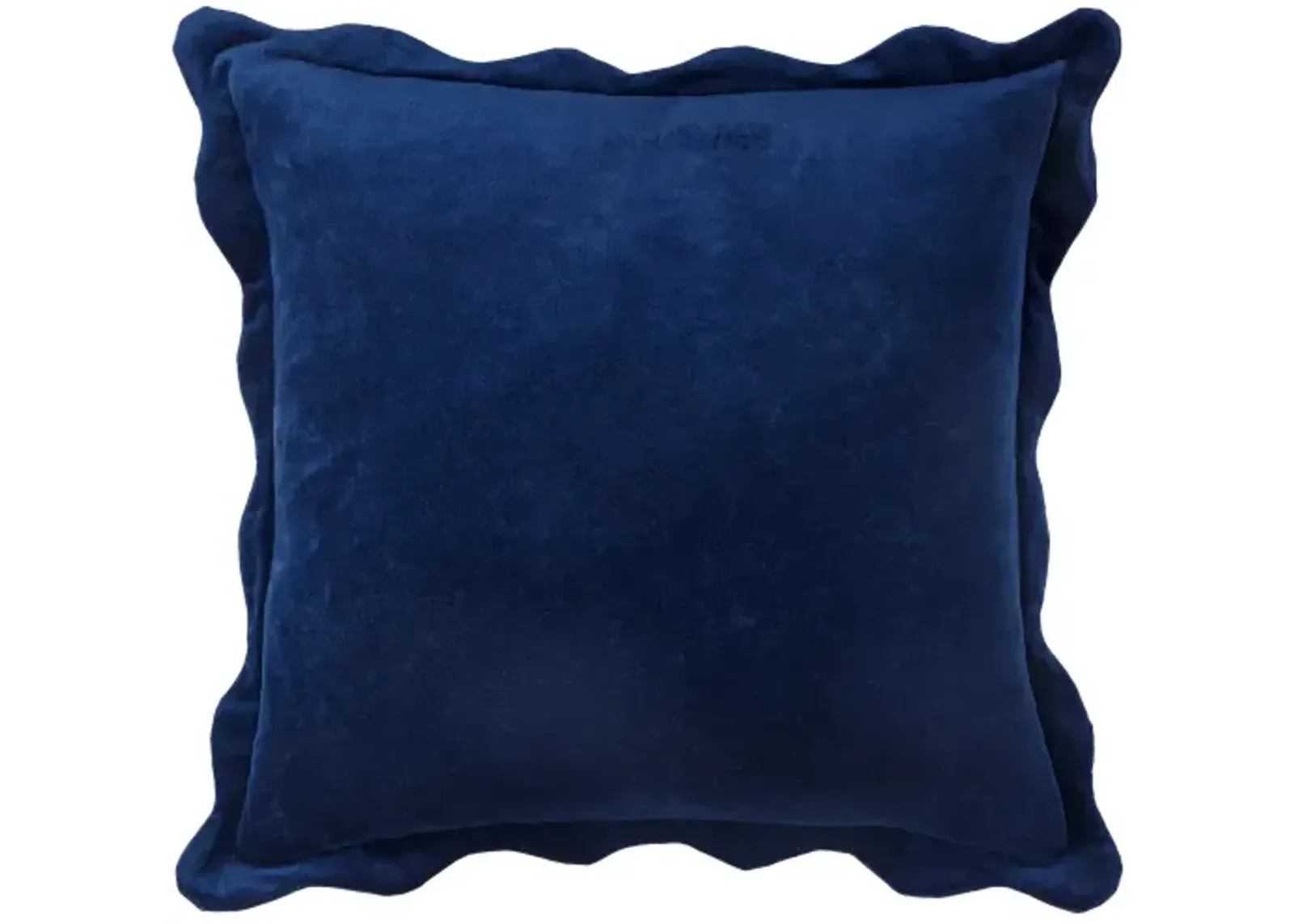 Effervescent EFC-007 22"L x 22"W Accent Pillow