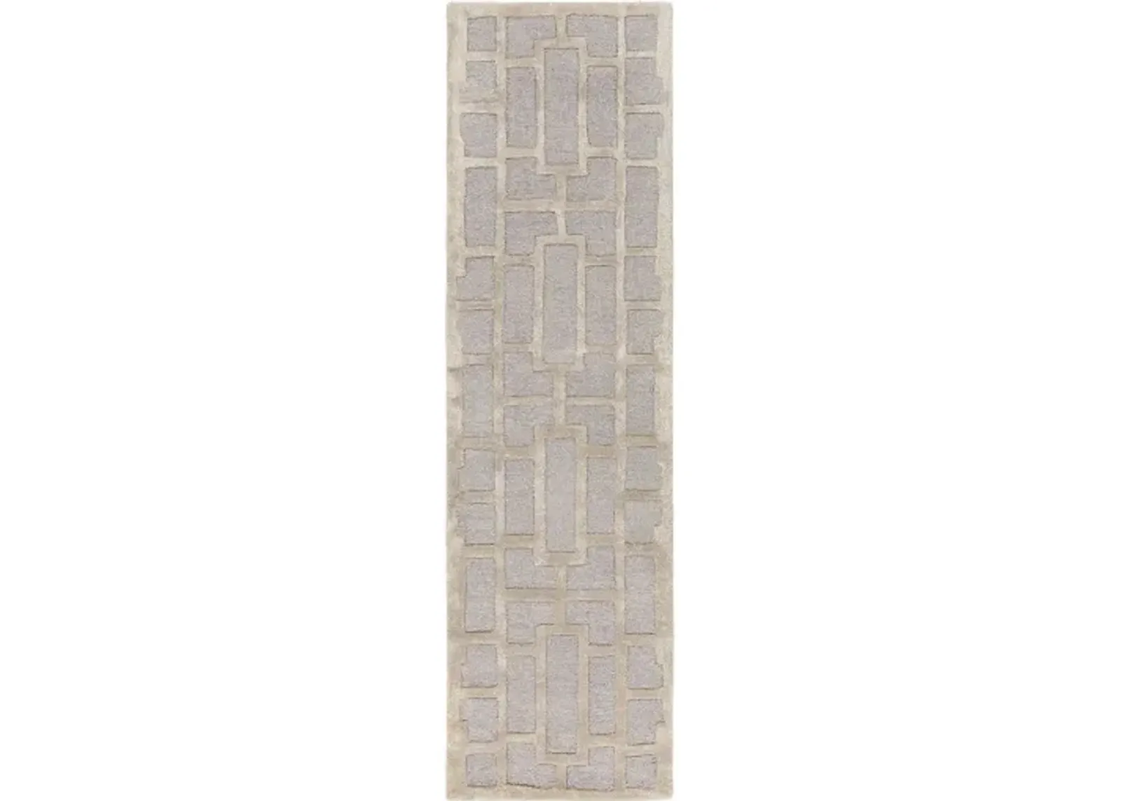 Arise 2'3" x 8' Rug