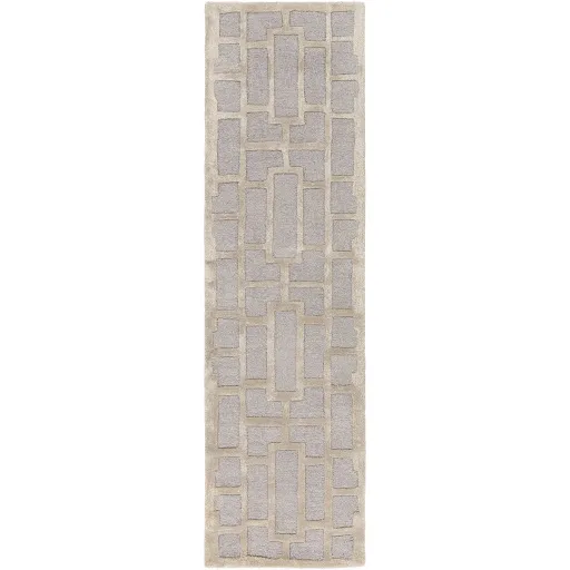 Arise 2'3" x 8' Rug