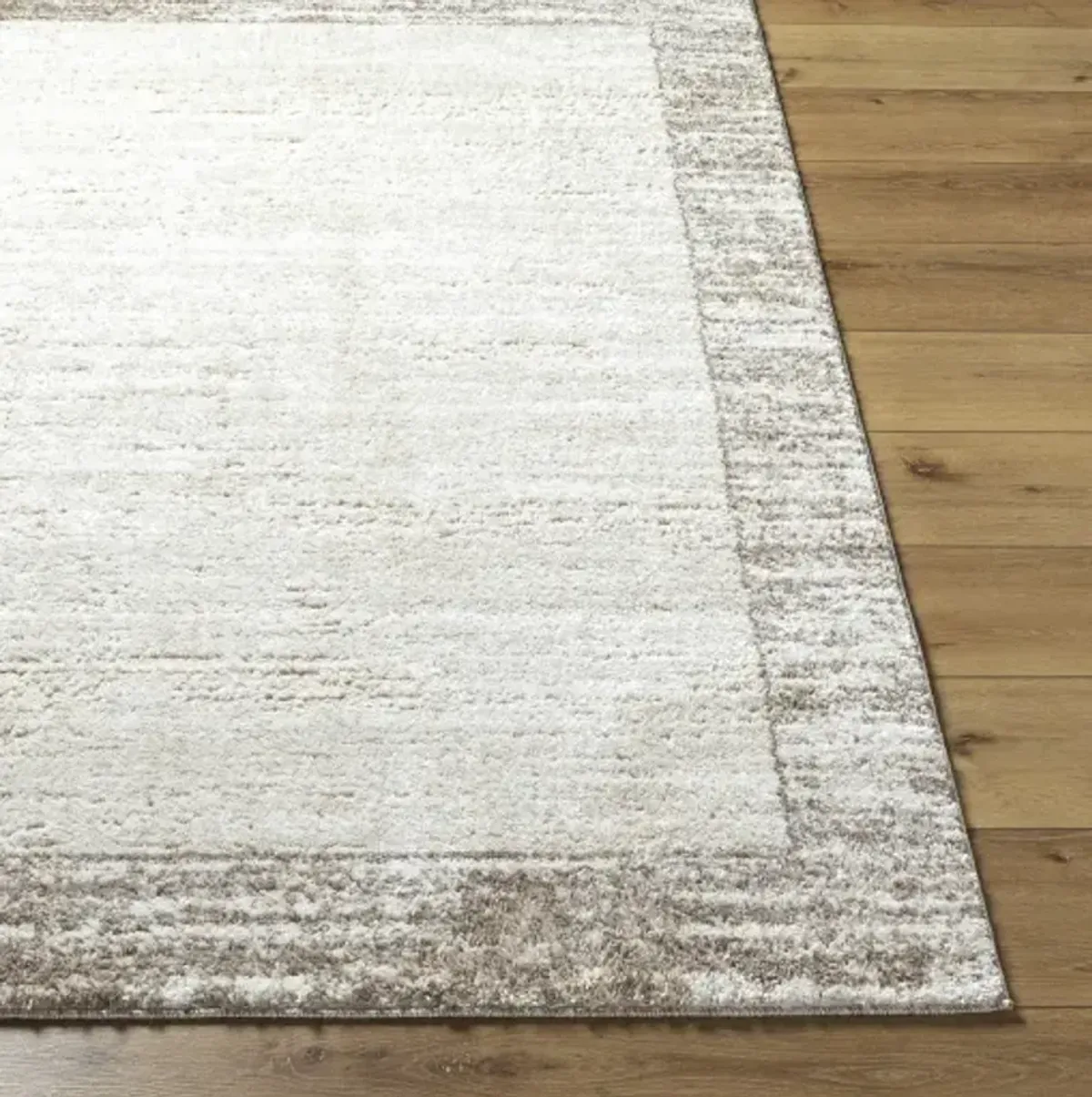 Andorra Plus ARP-2315 2' x 2'11" Machine Woven Rug