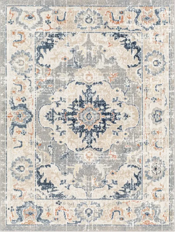 Santana SNN-2306 5'3" x 7' Machine Woven Rug