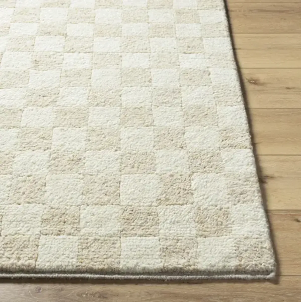 Davey BODV-2303 2' x 3' Handmade Rug