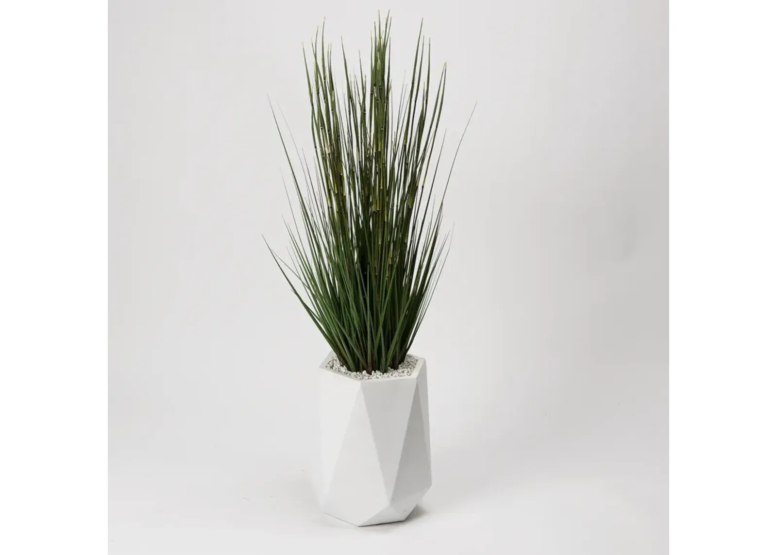 5' Onion Grass in White Resin Planter