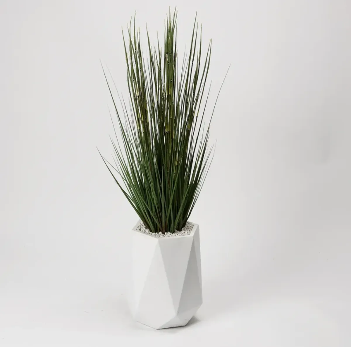 5' Onion Grass in White Resin Planter