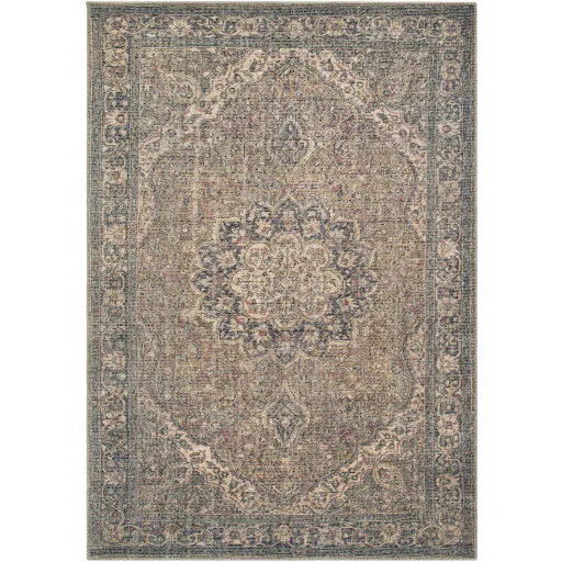 Colin 7'10" x 10'2" Rug