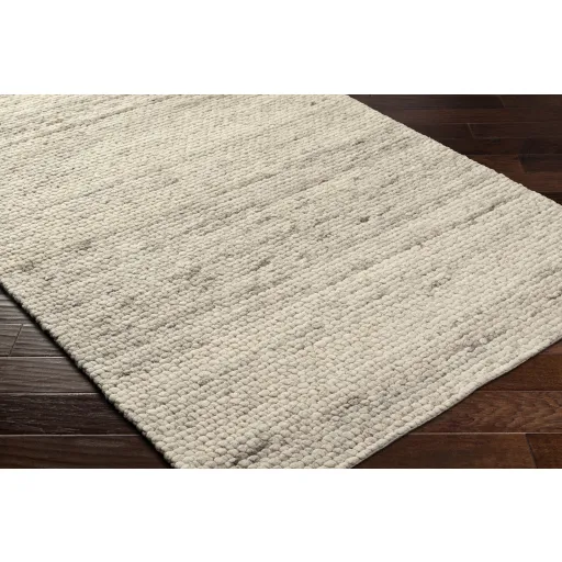 Palisade PSD-2304 2' x 3' Hand Made Rug