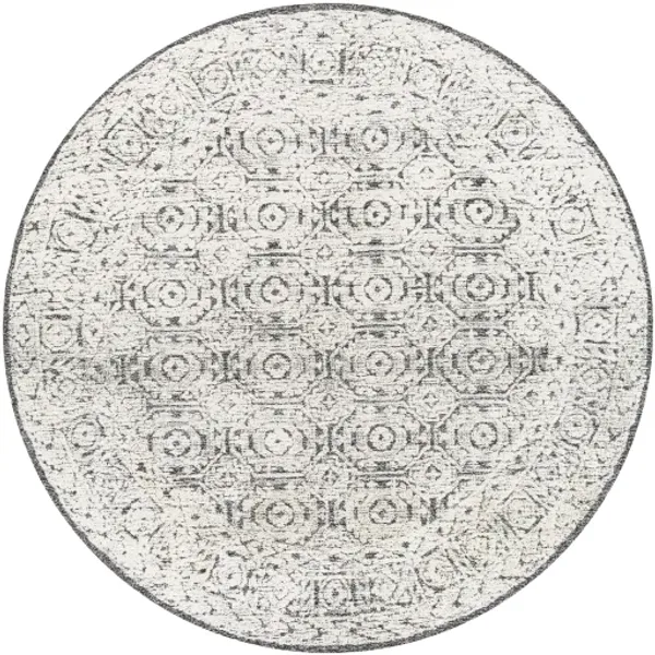 Louvre 2'6" x 8' Rug