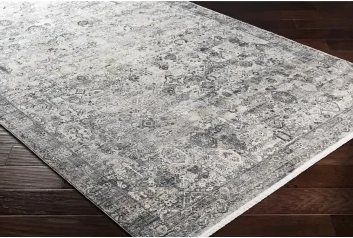 Solar SOR-2313 3' x 9'10" Rug