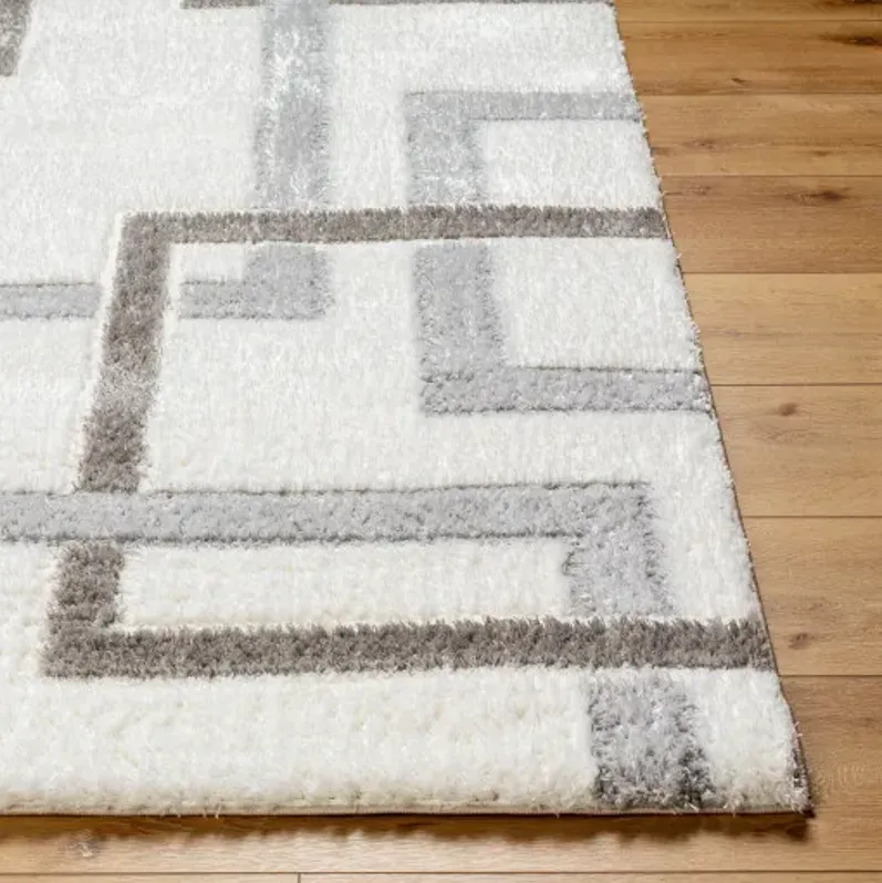 Nomadic NMC-2313 5'3" x 7' Machine Woven Rug