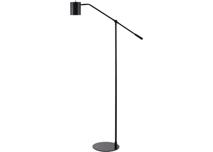 Talena TAL-003 62"H x 16"W x 11"D Accent Floor Lamp