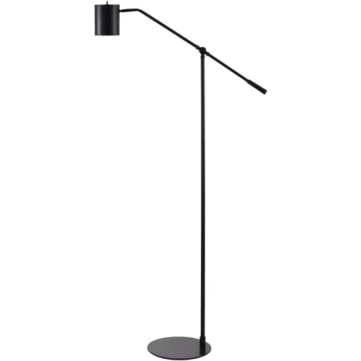 Talena TAL-003 62"H x 16"W x 11"D Accent Floor Lamp