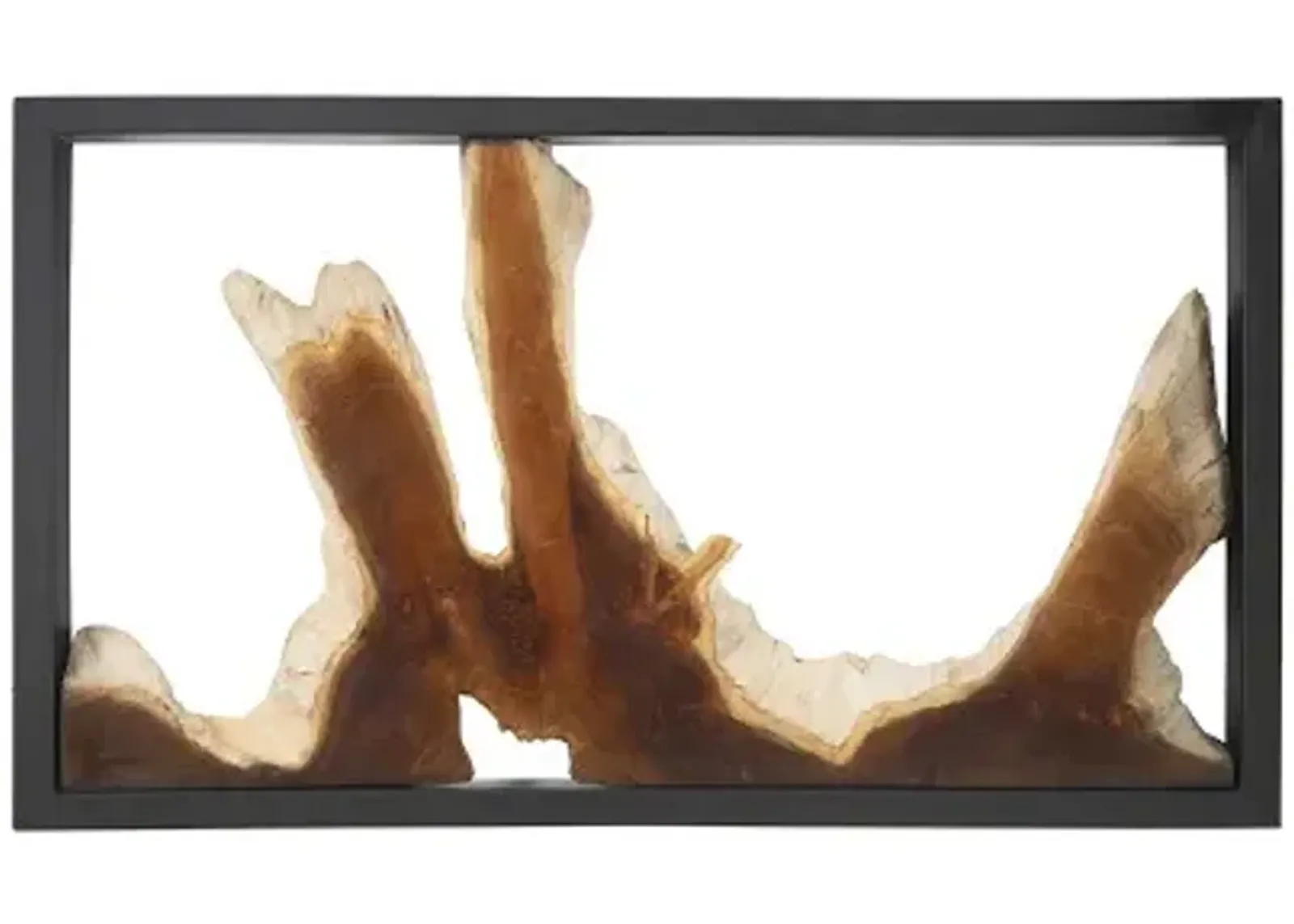 framed root wall art, rectangle, black