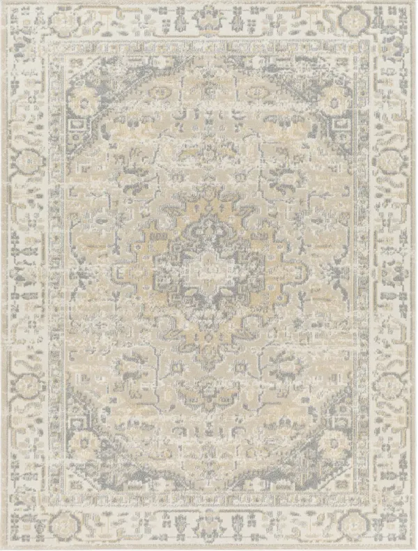 Santana SNN-2307 6'7" x 9' Machine Woven Rug