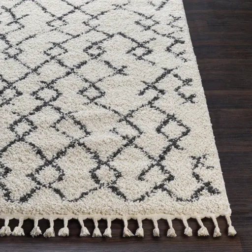 Berber Shag 5'3" x 7'3" Rug