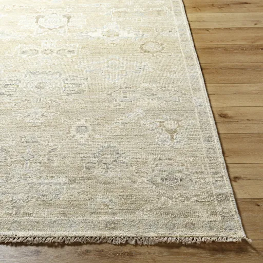 Antalya AAT-2305 10' x 14' Handmade Rug