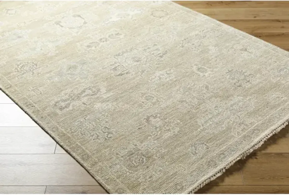 Antalya AAT-2305 10' x 14' Handmade Rug