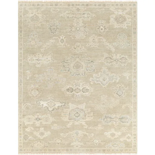 Antalya AAT-2305 10' x 14' Handmade Rug