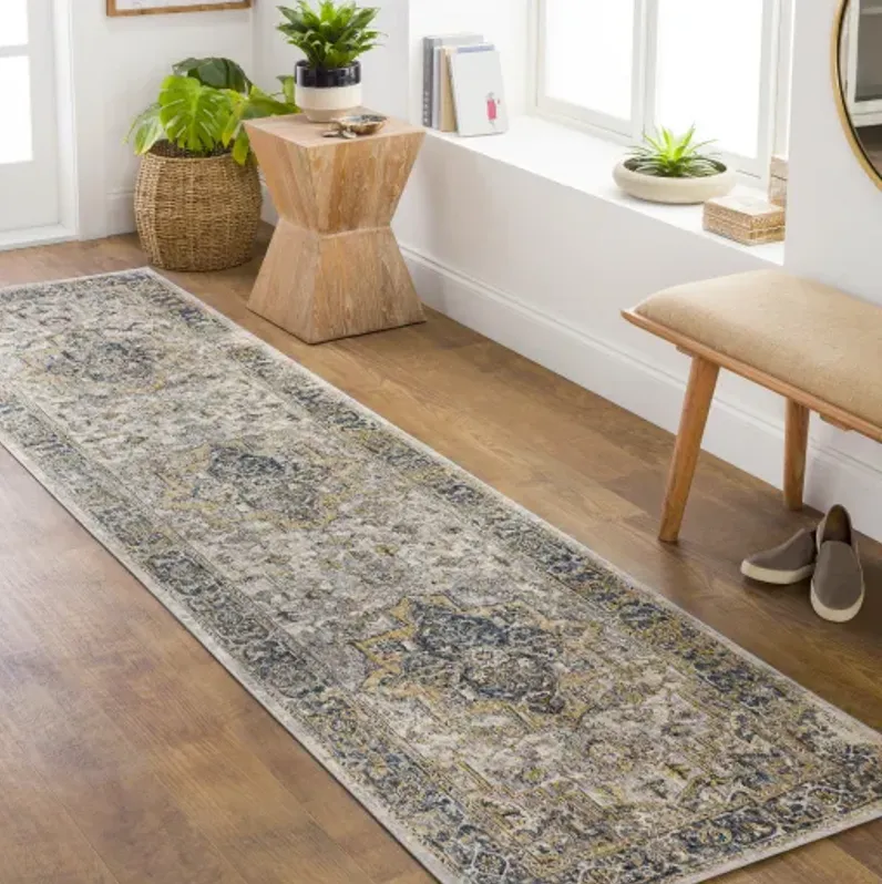 Aspendos APS-2321 2'7" x 10' Rug