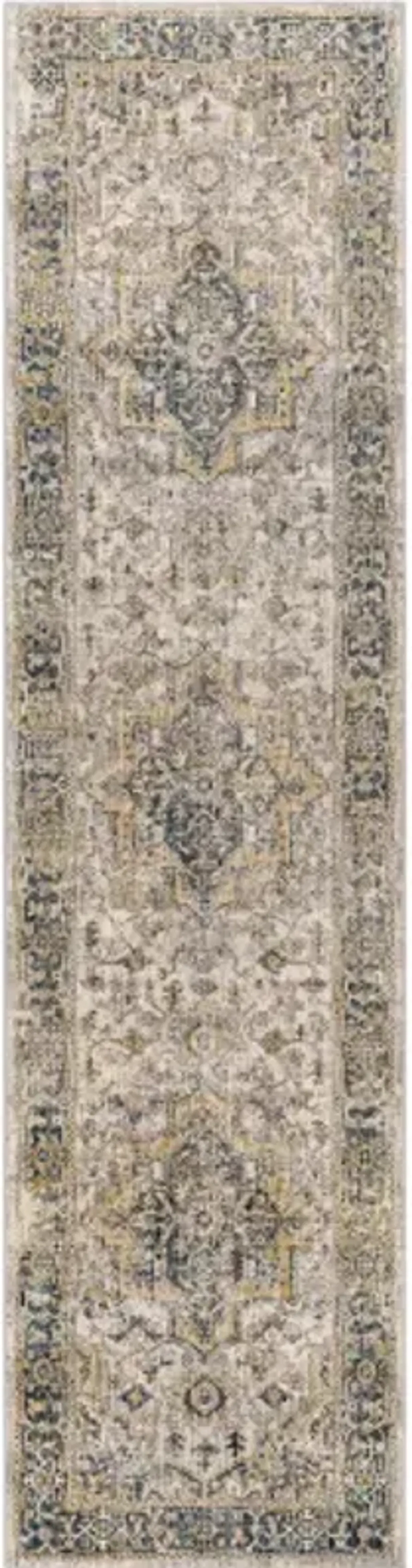 Aspendos APS-2321 2'7" x 10' Rug