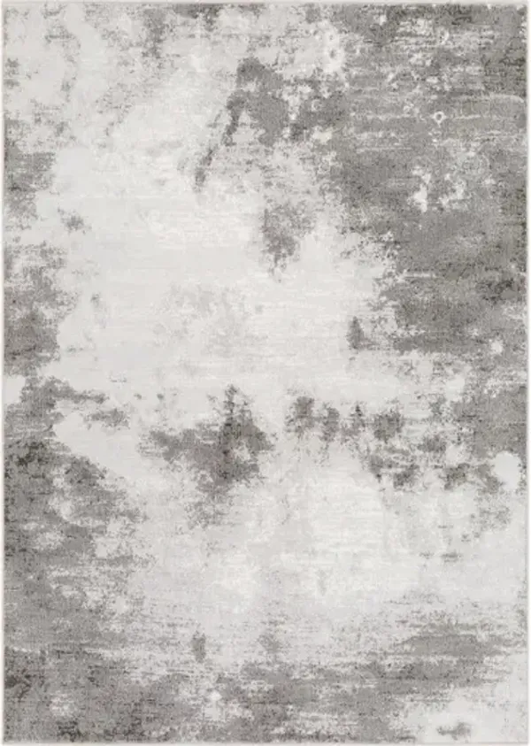 Contempo 2' x 2'11" Rug