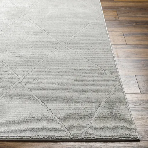 Alder ALD-2303 1'11" x 3'9" Machine Woven Rug