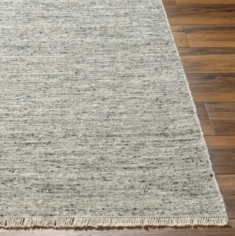 Hamburg HMB-2301 5' x 7'6" Hand Made Rug