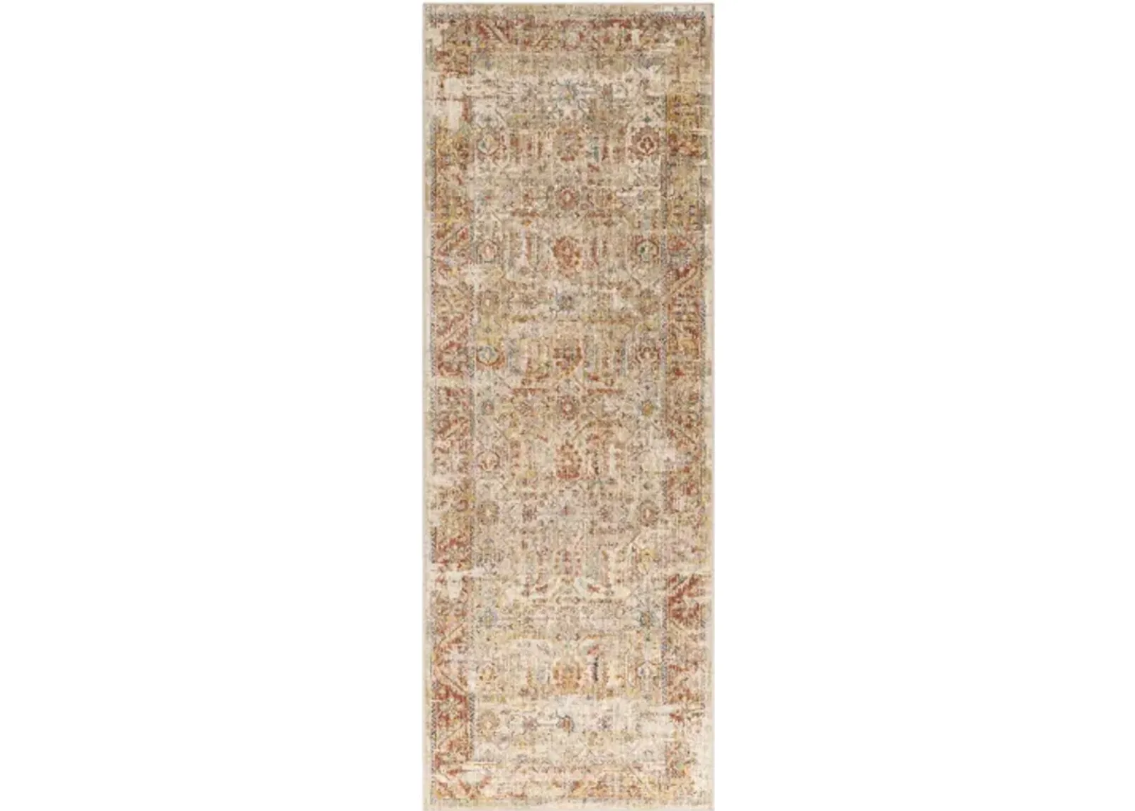 Aspendos APS-2311 2'7" x 7'3" Rug