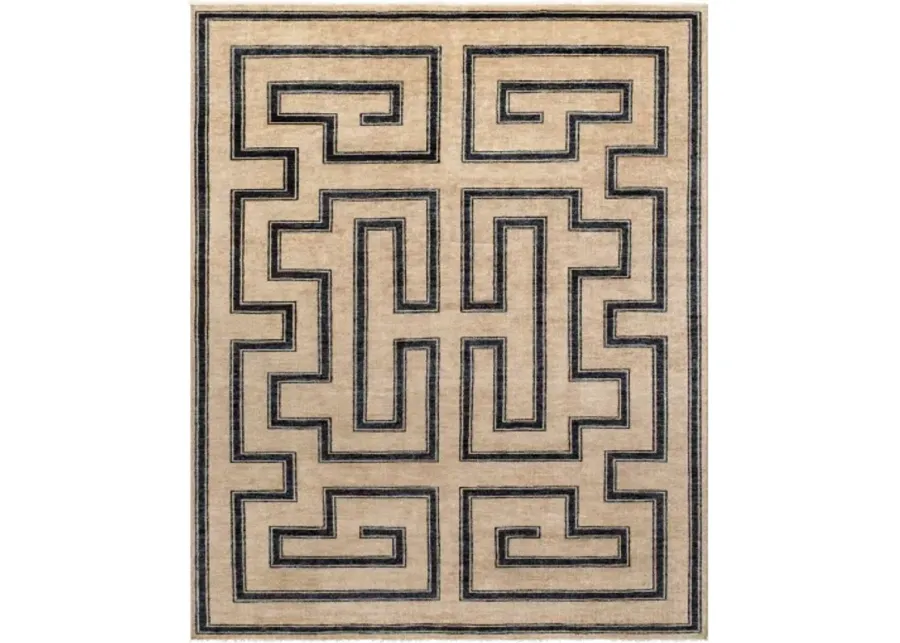 Riviera RIV-2303 10' x 14' Handmade Rug