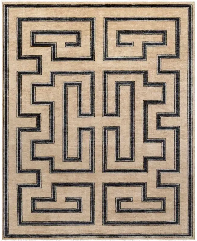 Riviera RIV-2303 10' x 14' Handmade Rug