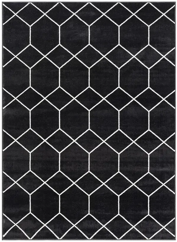 Madison Park Averie Black/Cream Trellis Geometric Woven Area Rug