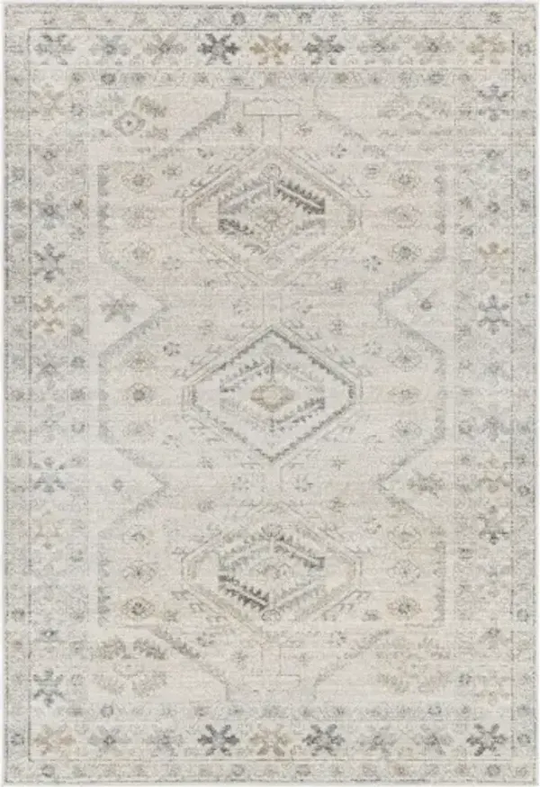 Alpharetta APH-2305 7'10" x 10' Machine Woven Rug