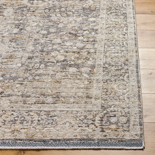 Rivaldo RVD-2312 2'4" x 3'9" Machine Woven Rug