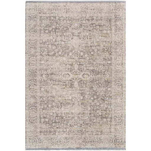 Rivaldo RVD-2312 2'4" x 3'9" Machine Woven Rug