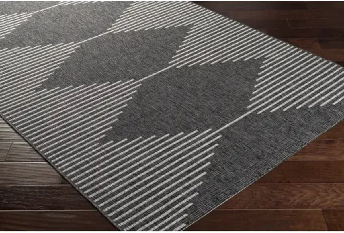 Eagean 8'10" x 12' Rug