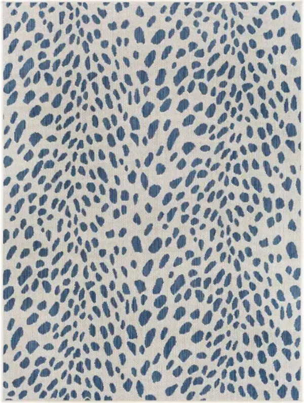 Malibu 5'3" x 7' Rug