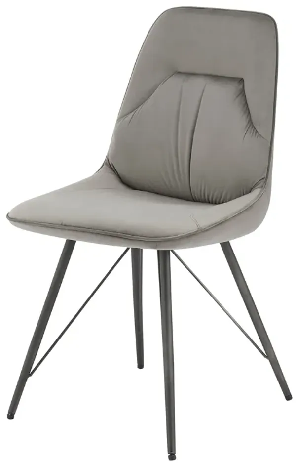 Pablo Dining Side Chair - Set of 2