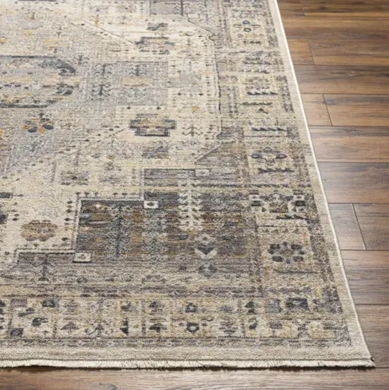 Aida AAD-2307 5' x 7'9" Machine Woven Rug