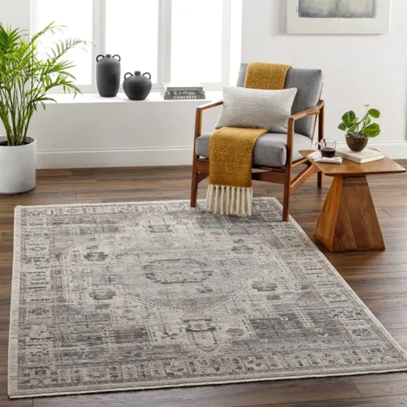 Aida AAD-2307 5' x 7'9" Machine Woven Rug