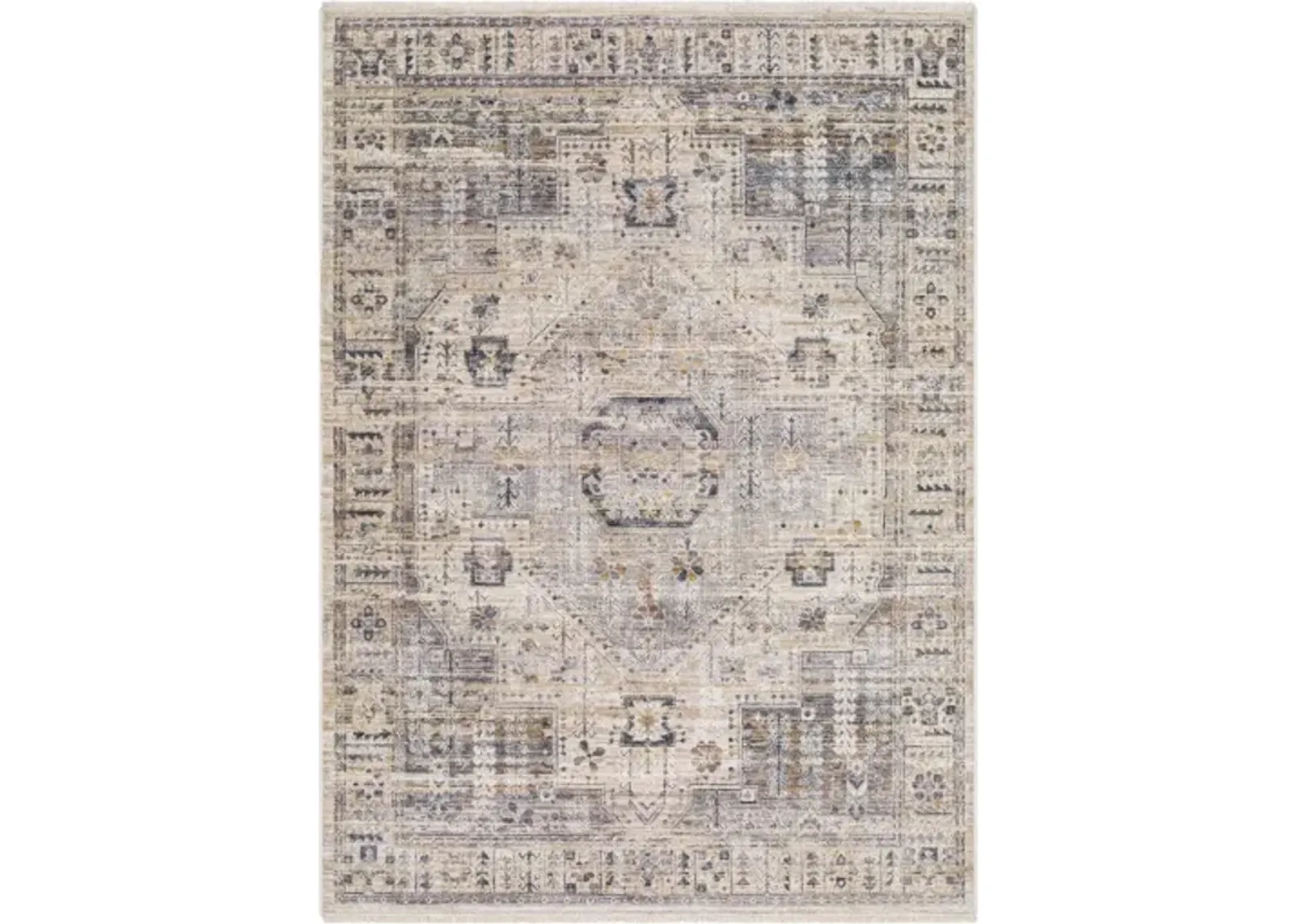 Aida AAD-2307 5' x 7'9" Machine Woven Rug